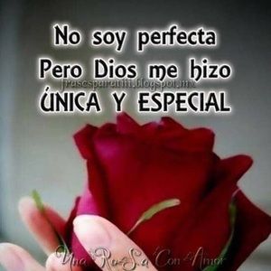 Meet your Posher, Dora